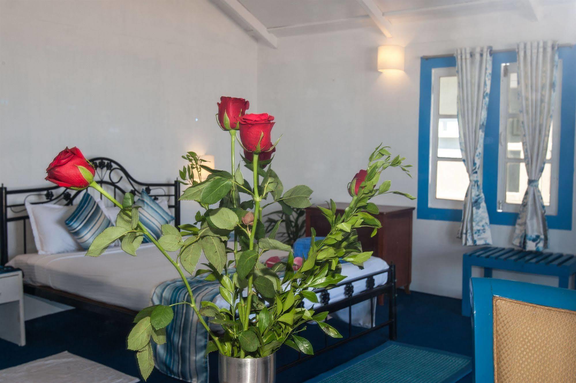 Cuba Agonda Bed & Breakfast Exterior foto